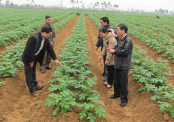 Thanh Hóa: Xã Phú Lộc 90% nông dân tham gia học tập