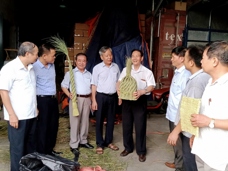 Nông dân Đặng Ngọc Toàn với sáng chế 'Hệ thống máy sấy cây lúa non xuất khẩu'